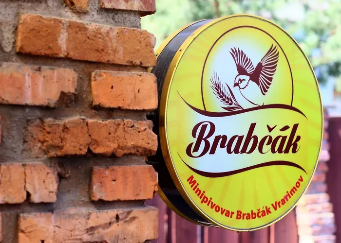 Brabcak 弗拉季莫夫